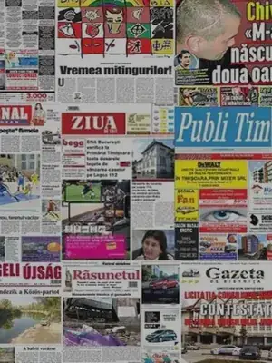 toate ziarele nationale si locale